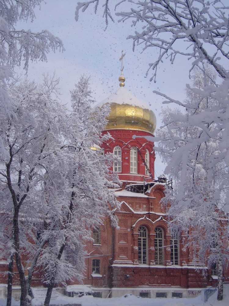 Скорбященский женский монастырь фото 1